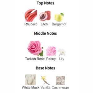 dark door intense | inspired by dior homme intense