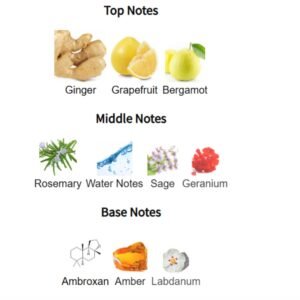 maison alhambra immortal | inspired by louis vuitton l'immensité