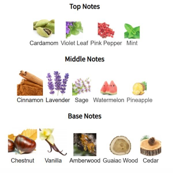 Image 2: maison alhambra your touch lifestyle shot