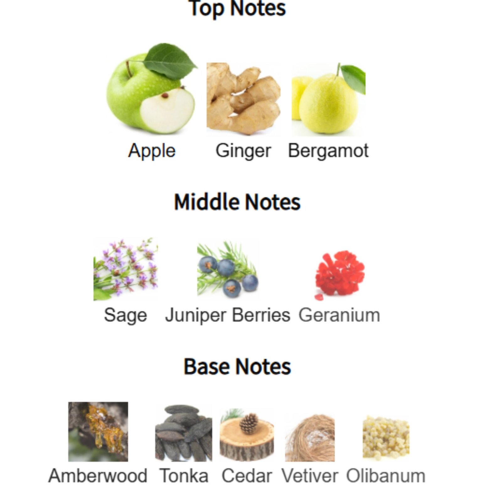 Yeah! Maison Alhambra 2 maison alhambra yeah