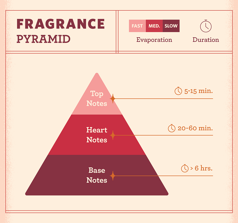 How to Read Perfume Notes: The Simple Guide